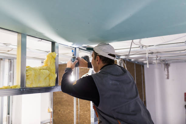 Professional Insulation Contractor in Prince George, VA