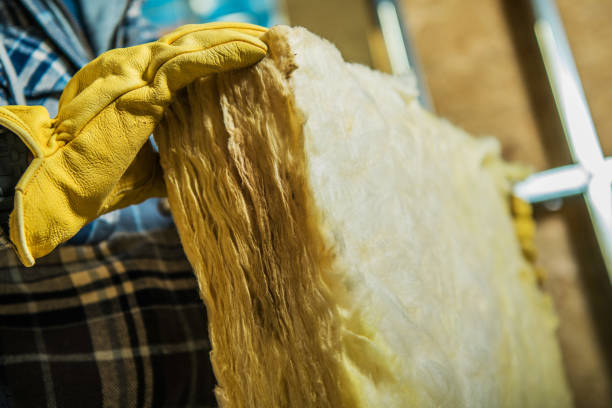 Best Insulation Inspection Services  in Prince George, VA