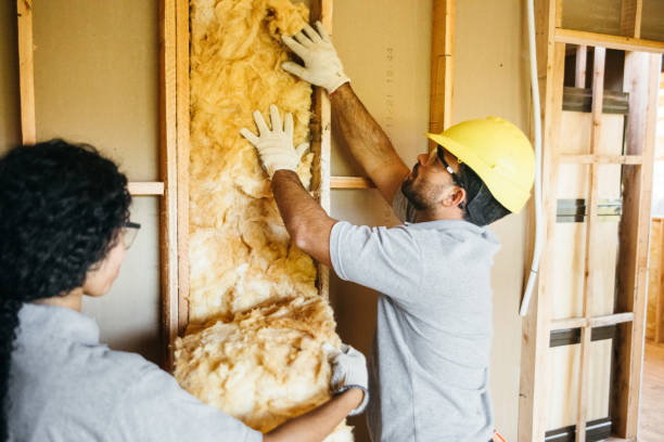 Best Insulation Repair Services  in Prince George, VA